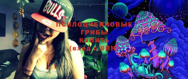 ешки Алексин